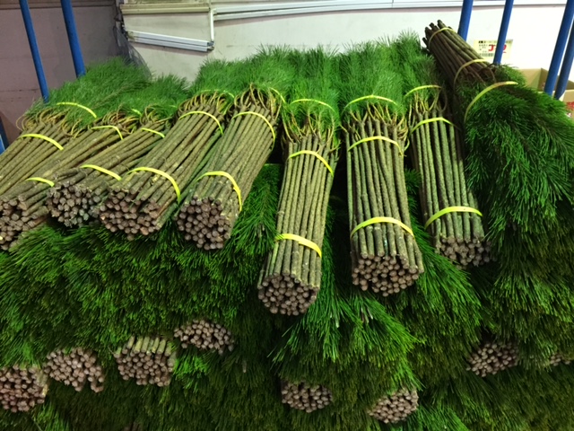 ファイル 155-5.jpg