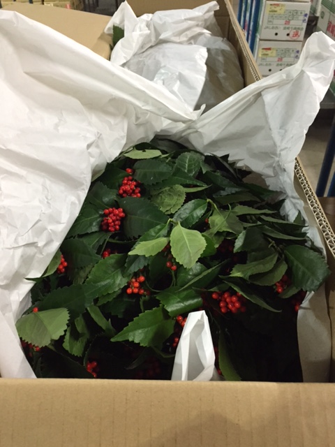 ファイル 156-4.jpg