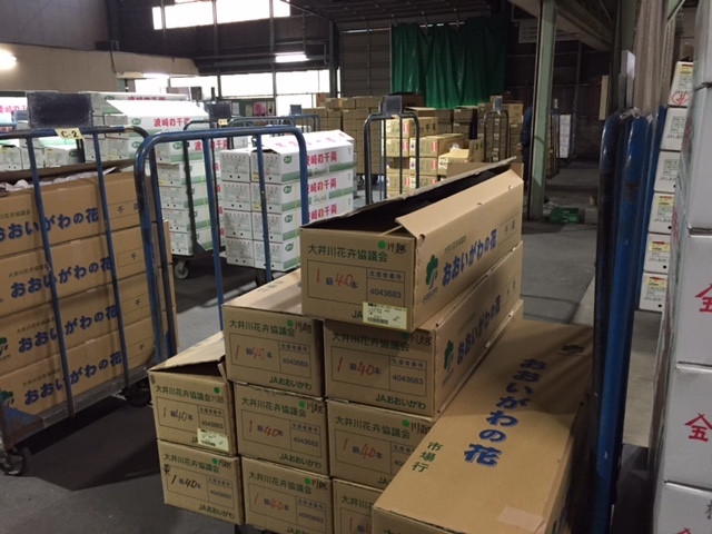 ファイル 156-5.jpg