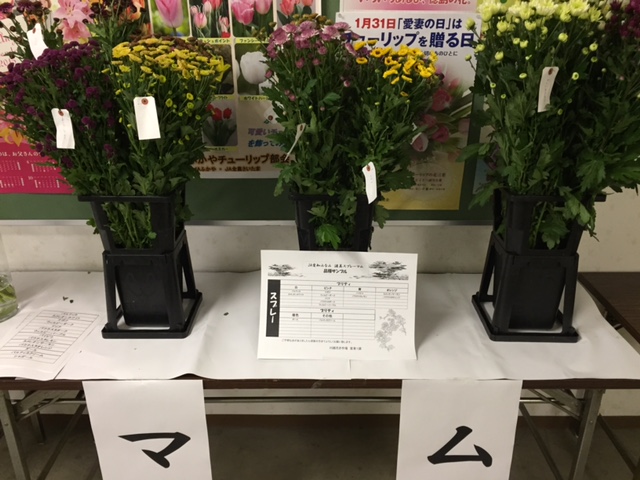 ファイル 159-3.jpg