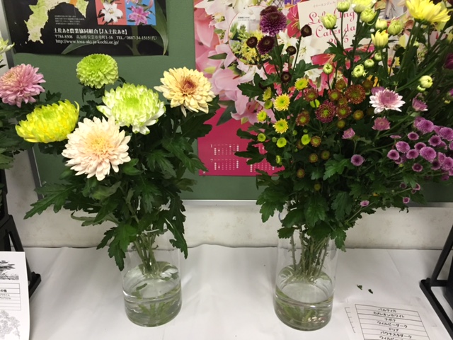 ファイル 159-4.jpg