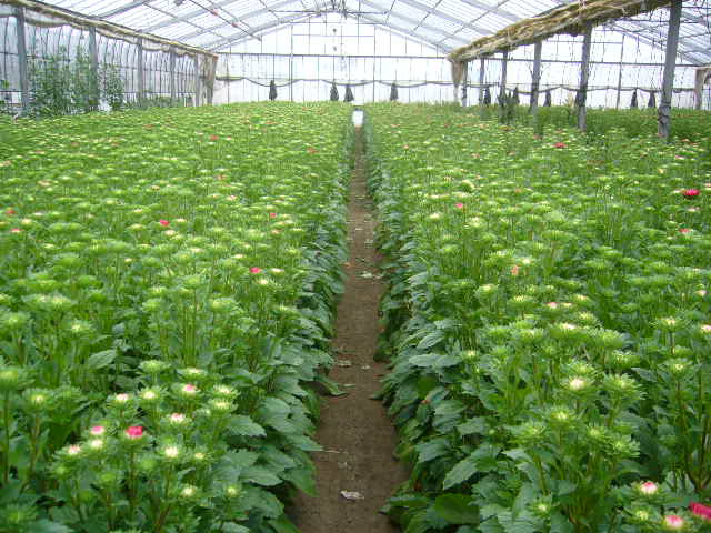 ファイル 17-1.jpg