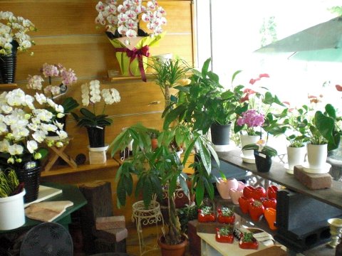 ファイル 18-2.jpg