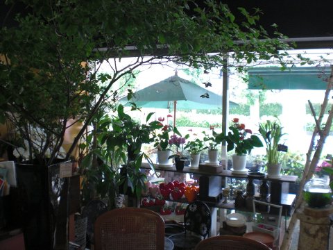 ファイル 18-3.jpg