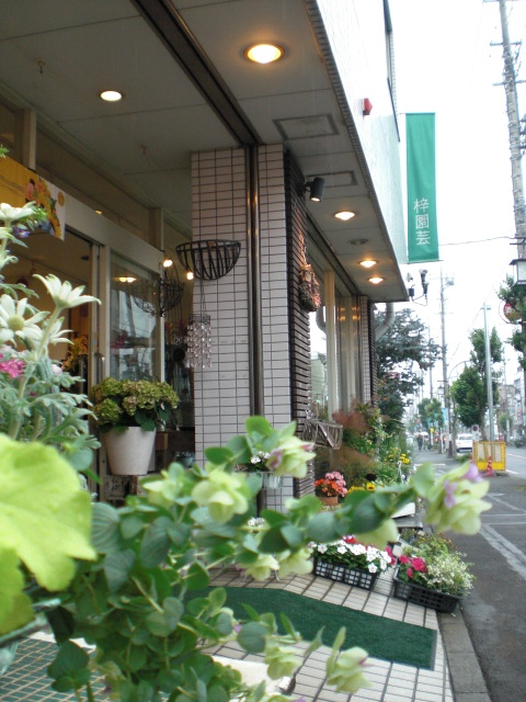 ファイル 19-1.jpg