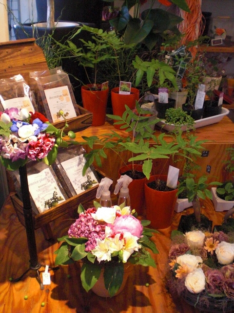 ファイル 19-2.jpg