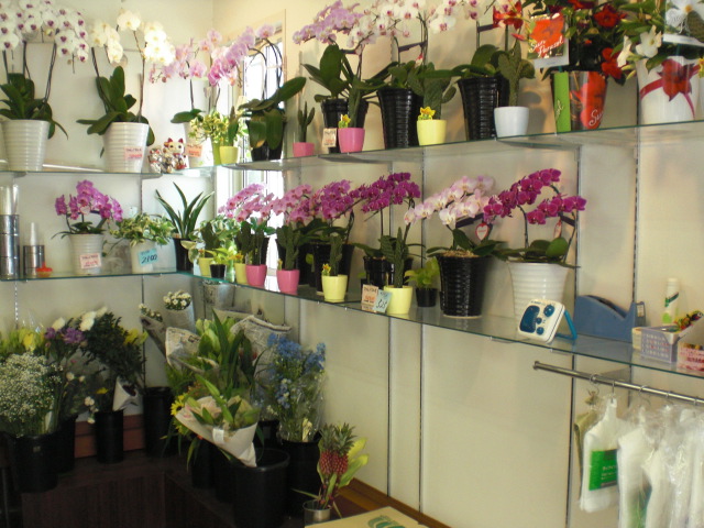 ファイル 22-2.jpg