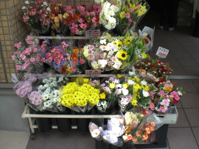 ファイル 22-3.jpg