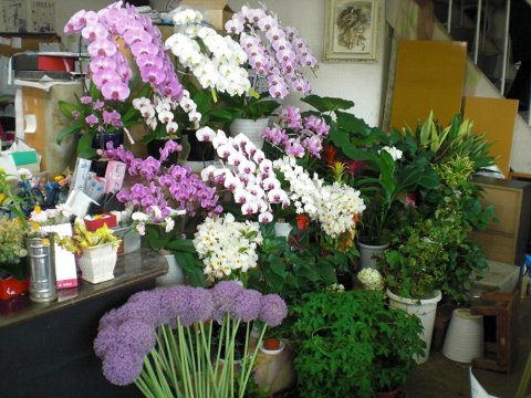 ファイル 24-2.jpg