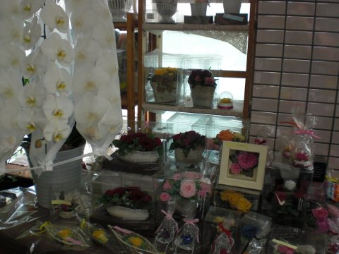 ファイル 24-3.jpg