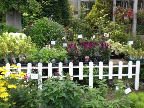 ファイル 25-1.jpg