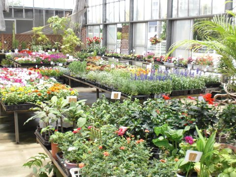 ファイル 25-3.jpg