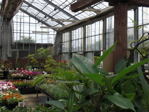 ファイル 25-5.jpg