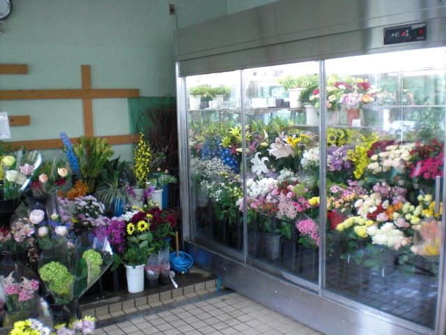 ファイル 26-2.jpg