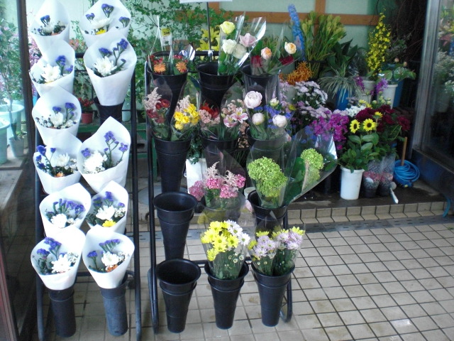 ファイル 26-3.jpg