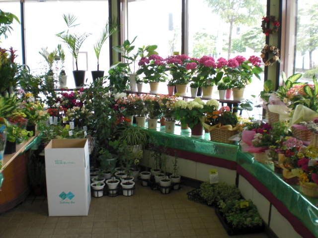 ファイル 26-4.jpg