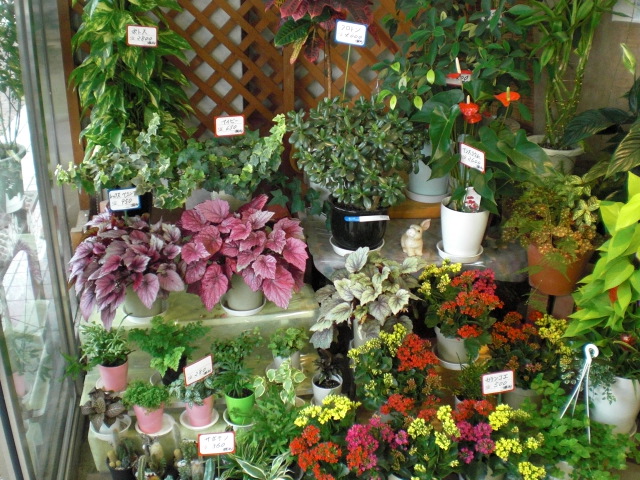 ファイル 27-3.jpg