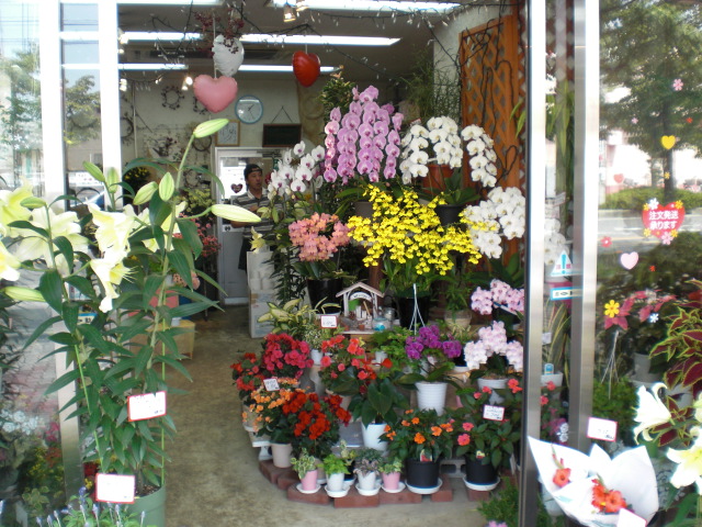 ファイル 27-4.jpg