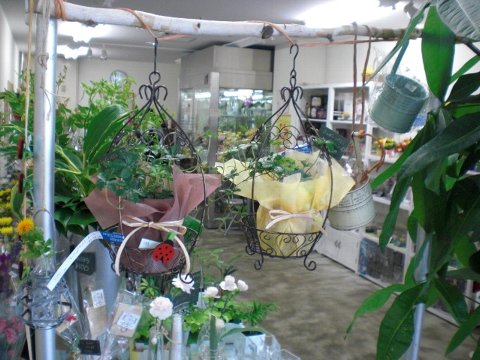 ファイル 28-1.jpg