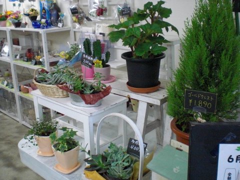 ファイル 28-2.jpg