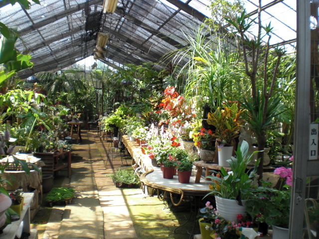 ファイル 29-1.jpg