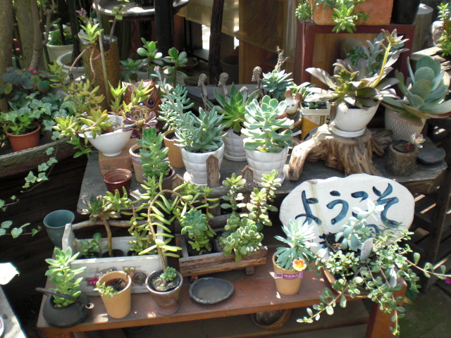 ファイル 29-2.jpg