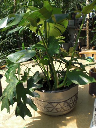 ファイル 29-4.jpg