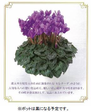 ファイル 3-1.jpg