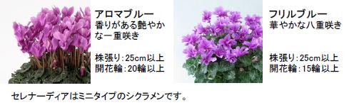 ファイル 3-2.jpg