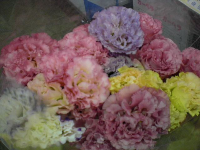 ファイル 30-1.jpg