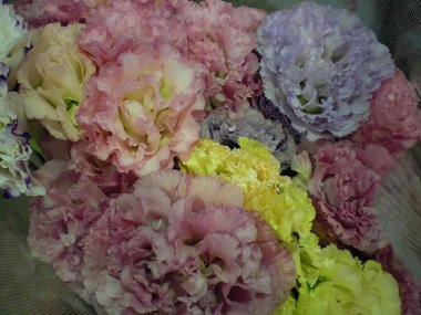 ファイル 30-2.jpg