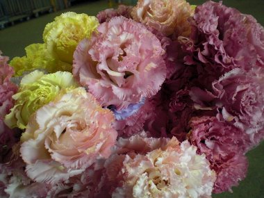 ファイル 30-3.jpg