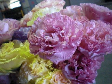 ファイル 30-4.jpg