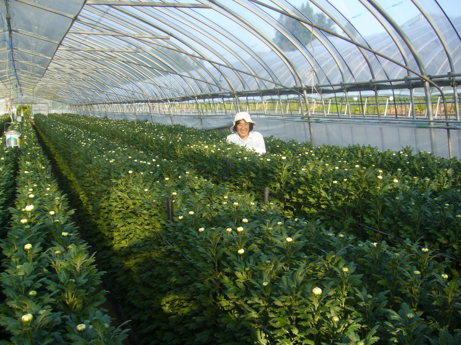 ファイル 31-3.jpg