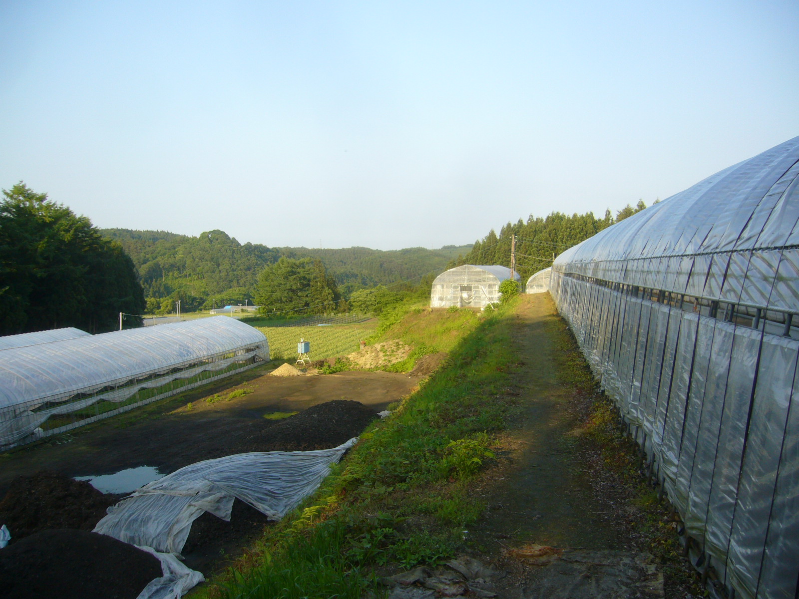 ファイル 31-4.jpg