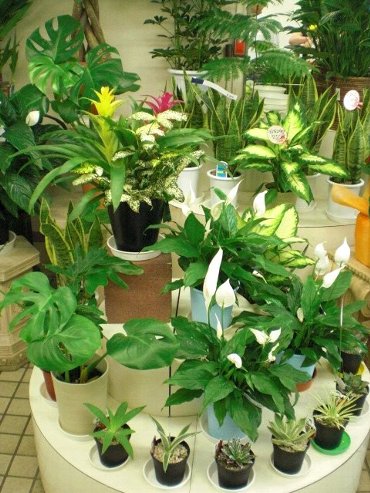 ファイル 33-4.jpg