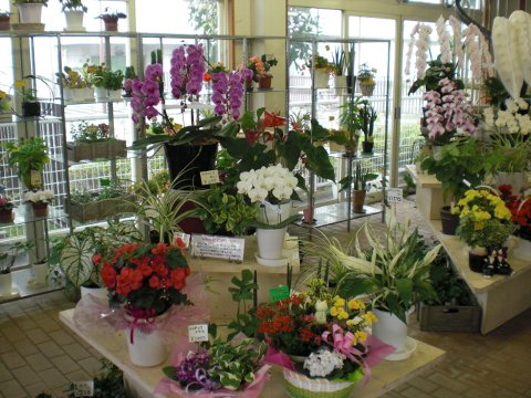 ファイル 34-2.jpg