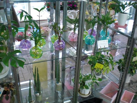 ファイル 34-3.jpg