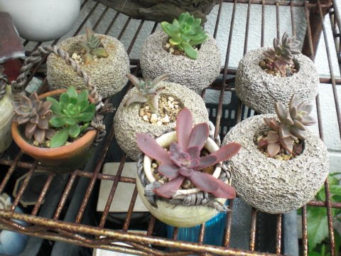 ファイル 34-4.jpg