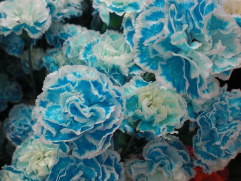 ファイル 35-2.jpg