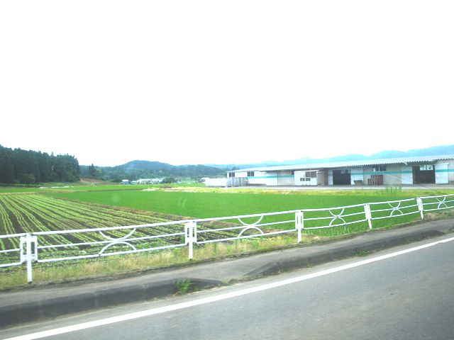 ファイル 37-1.jpg