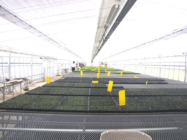 ファイル 37-4.jpg