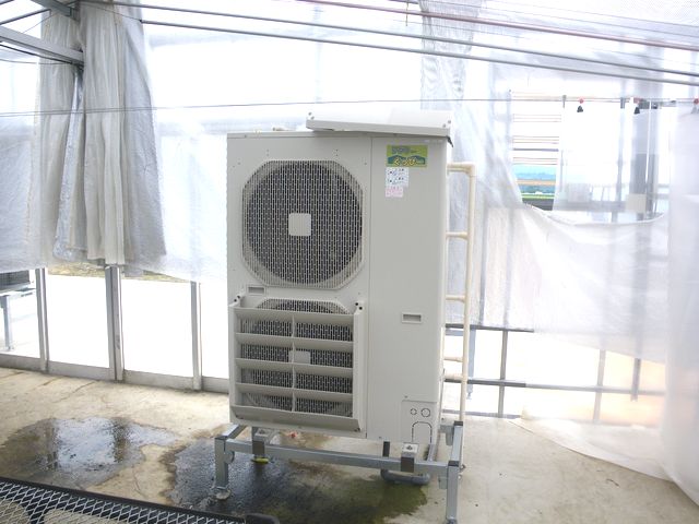 ファイル 37-5.jpg