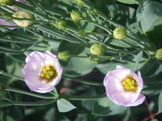 ファイル 38-3.jpg