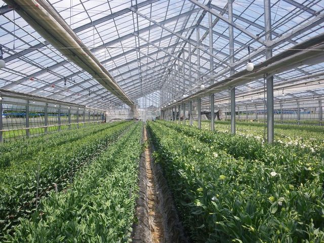 ファイル 38-4.jpg