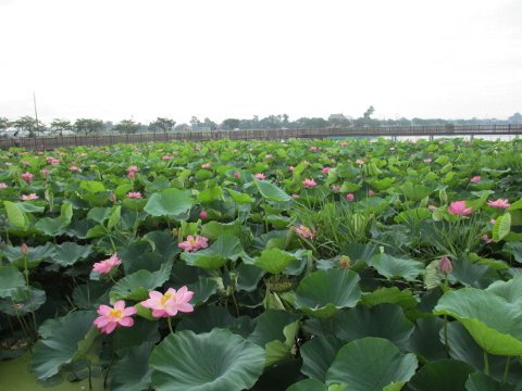 ファイル 39-2.jpg