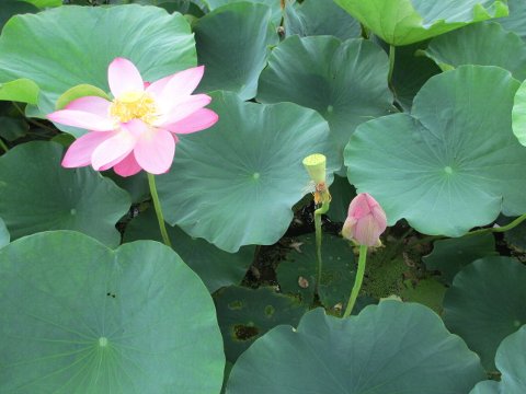 ファイル 39-3.jpg