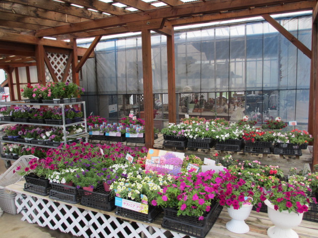 ファイル 40-3.jpg