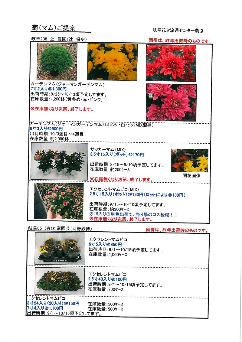 ファイル 41-1.jpg