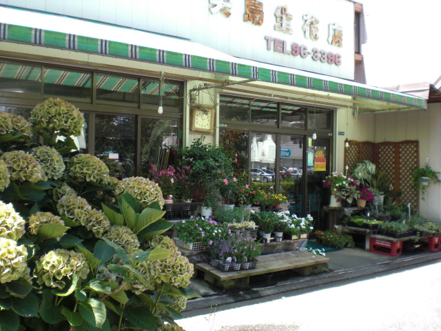 ファイル 42-2.jpg